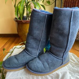 Tall Blue Uggs